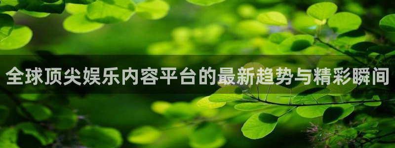 全球顶尖娱乐内容平台的最新趋势与精彩瞬间
