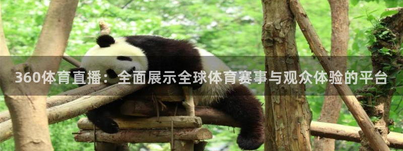 360体育直播：全面展示全球体育赛事与观众体验的平台