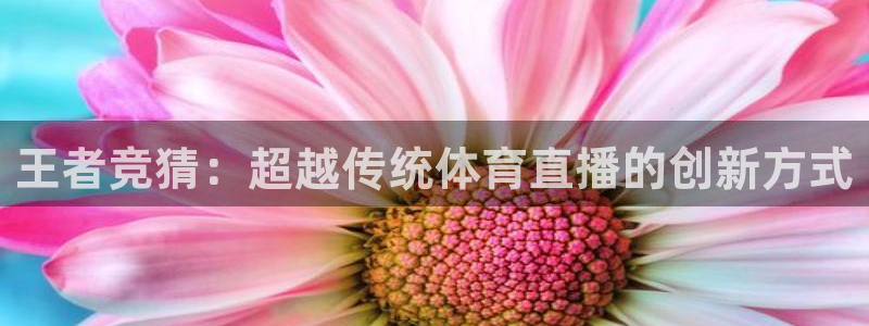王者竞猜：超越传统体育直播的创新方式