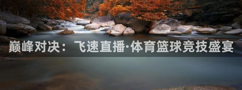巅峰对决：飞速直播·体育篮球竞技盛宴