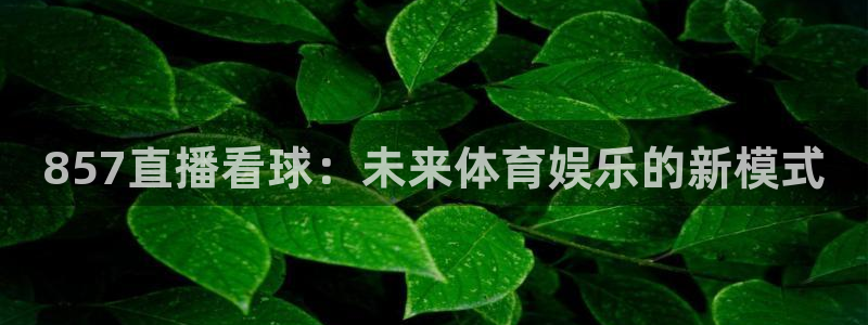 857直播看球：未来体育娱乐的新模式