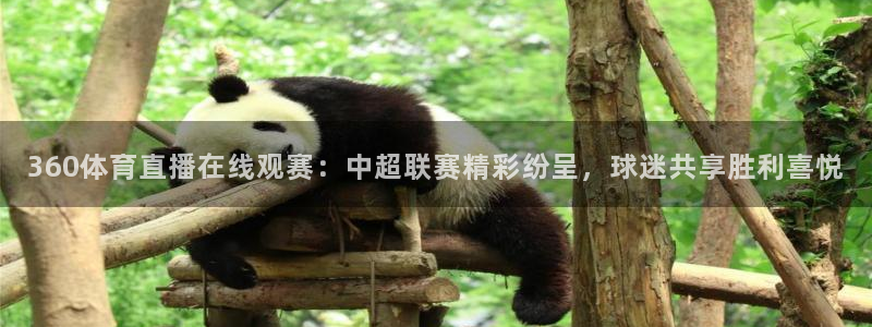 360体育直播在线观赛：中超联赛精彩纷呈，球迷共享胜利喜悦