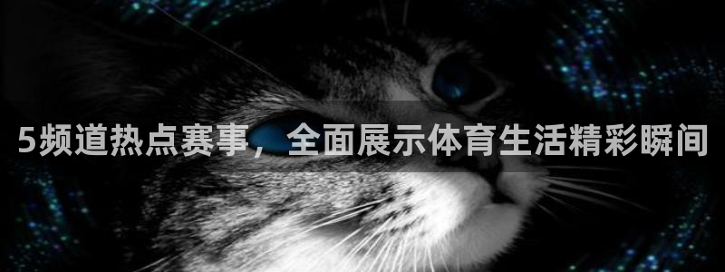5频道热点赛事，全面展示体育生活精彩瞬间