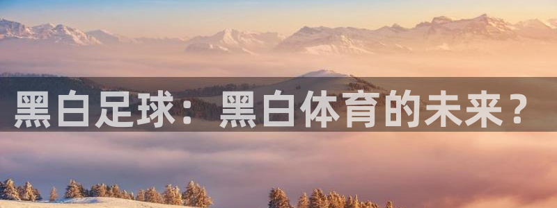 黑白足球：黑白体育的未来？