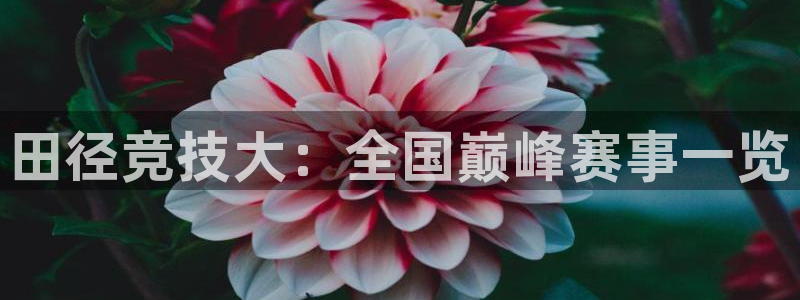 男篮世界杯中国委内瑞拉：田径竞技大：全国巅峰赛事一览