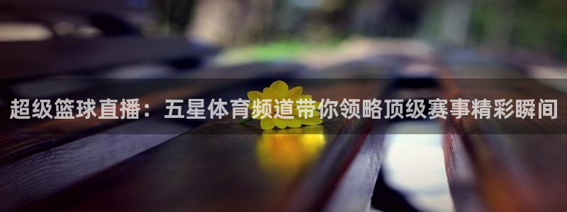 02年世界杯中国队比赛视频：超级篮球直播：五星体育频道带你领略顶级赛事精彩瞬间