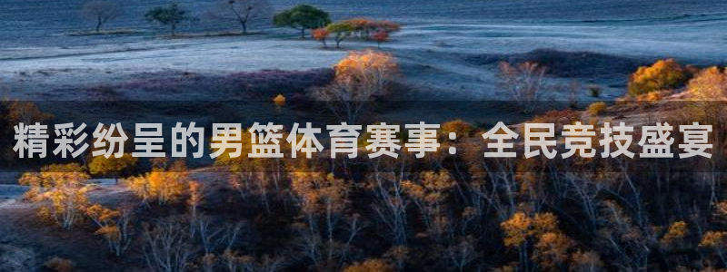 2021乒乓球世界杯：精彩纷呈的男篮体育赛事：全民竞技盛宴