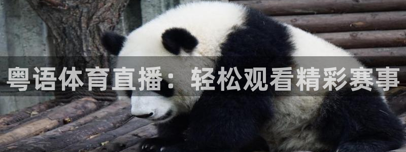 姆巴佩世界杯决赛进了几个球：粤语体育直播：轻松观看精彩赛事