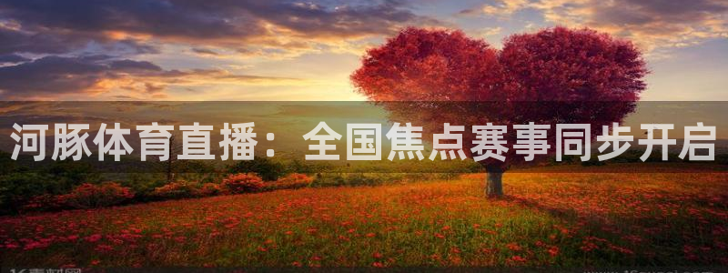 世界杯预选赛赛程欧洲区：河豚体育直播：全国焦点赛事同步开启